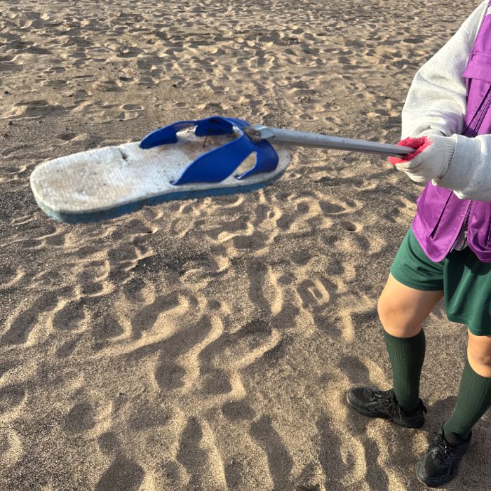 사계해변 정화 사진 4