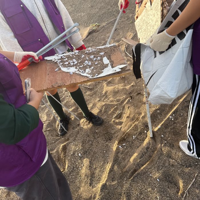 사계해변 정화 사진 5
