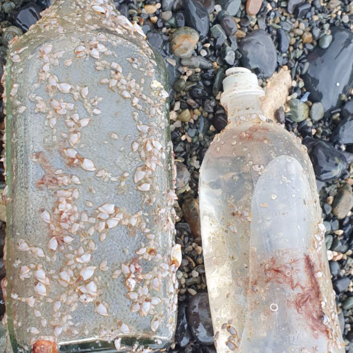 주전해변 정화 사진 10