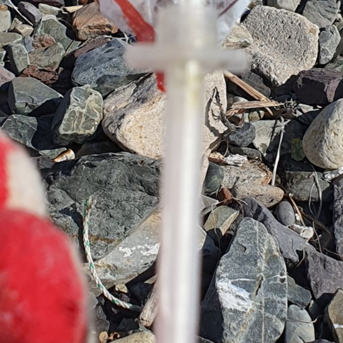 큰불항해변 정화 사진 10
