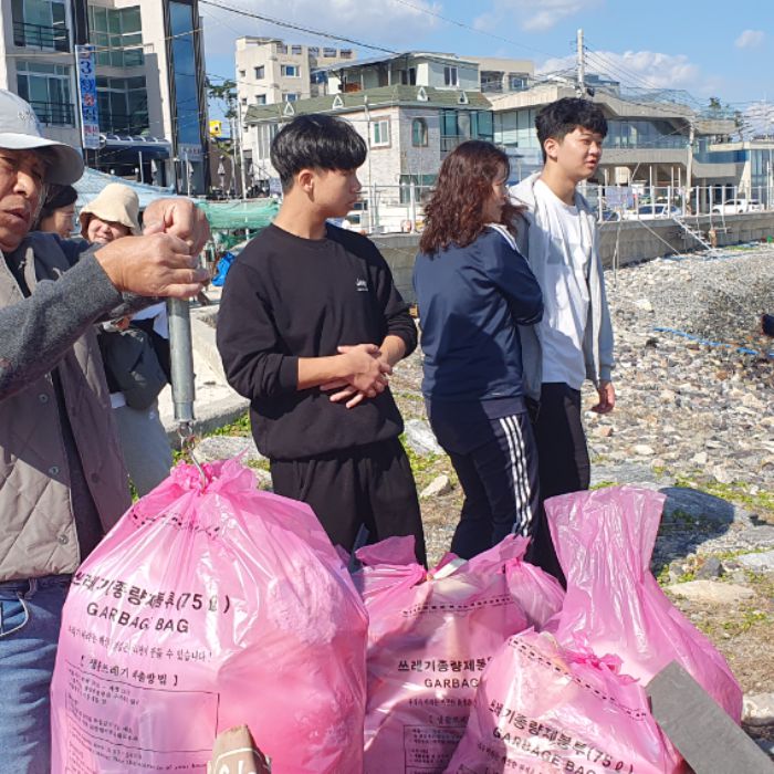 큰불항해변 정화 사진 11