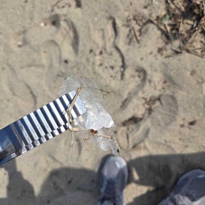 낙산해수욕장 정화 사진 12