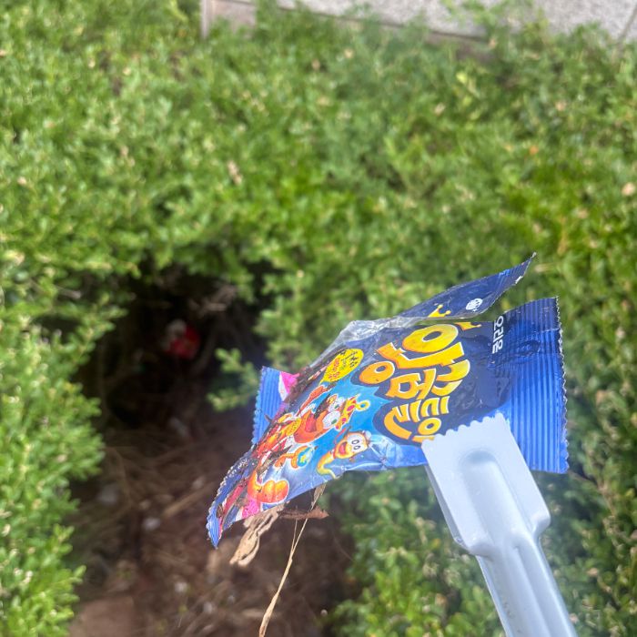  서울강남구.동네.쓰레기.플로깅