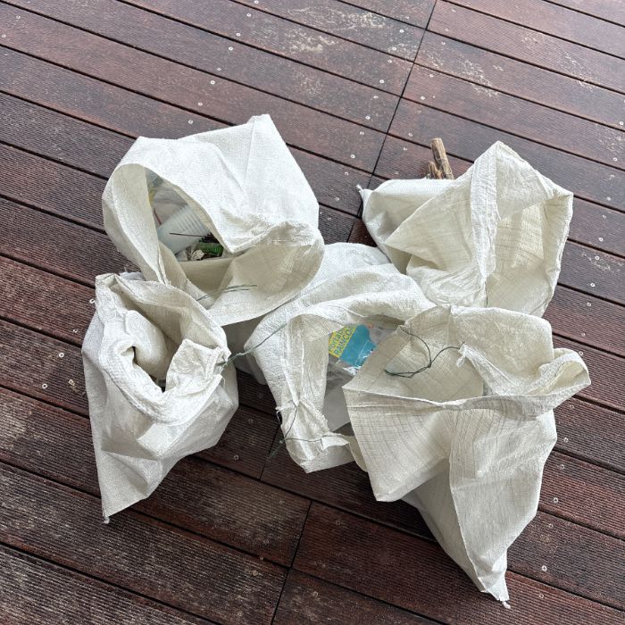 낙산해수욕장 정화 사진 2