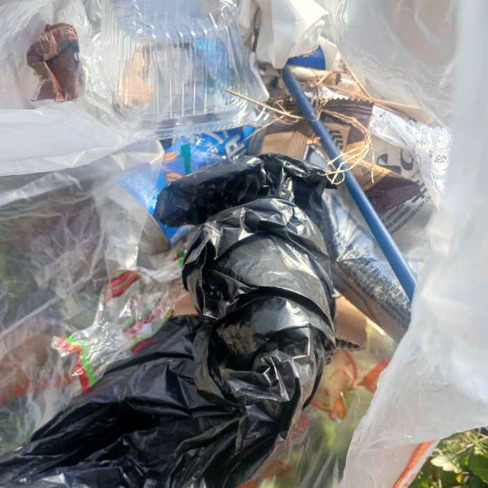  파주시.동네.쓰레기.플로깅