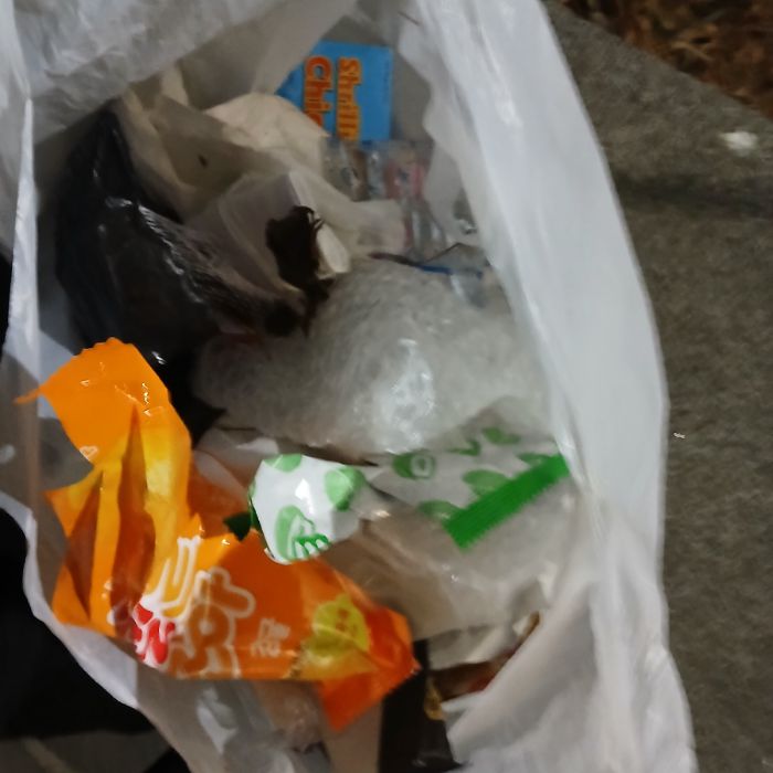  파주시.동네.쓰레기.플로깅