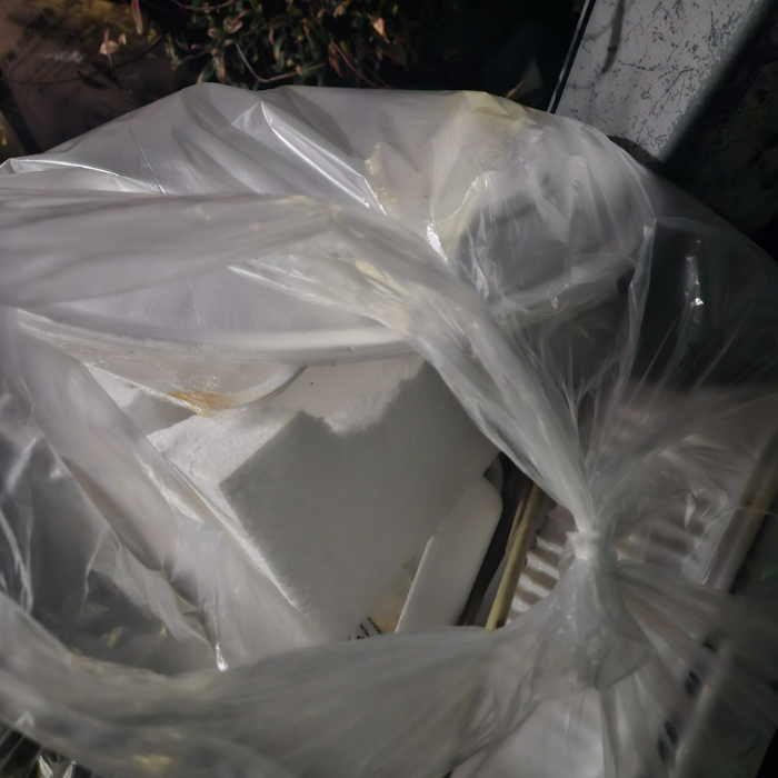  강릉시.동네.쓰레기.플로깅