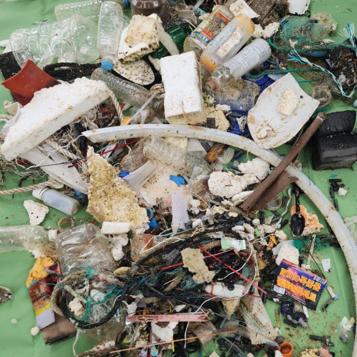  강릉시.동네.쓰레기.플로깅