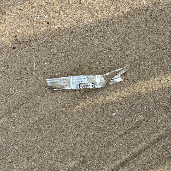 장포리해변 정화 사진 7