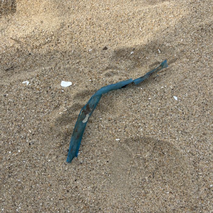 장포리해변 정화 사진 9