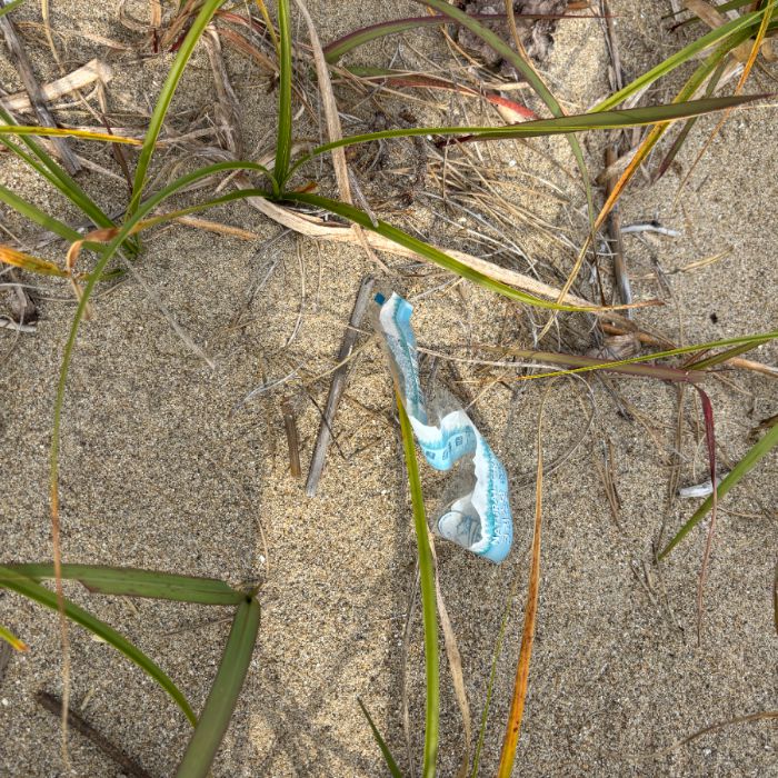 장포리해변 정화 사진 14