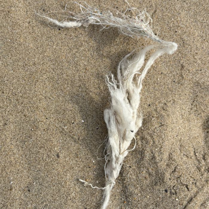 장포리해변 정화 사진 24