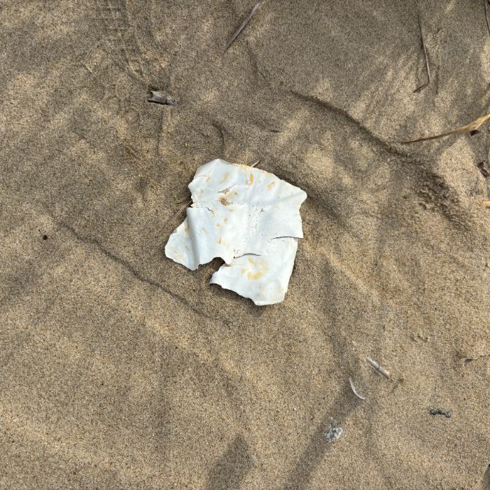 장포리해변 정화 사진 25