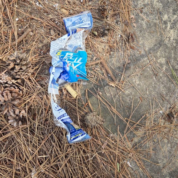 장포리해변 정화 사진 14