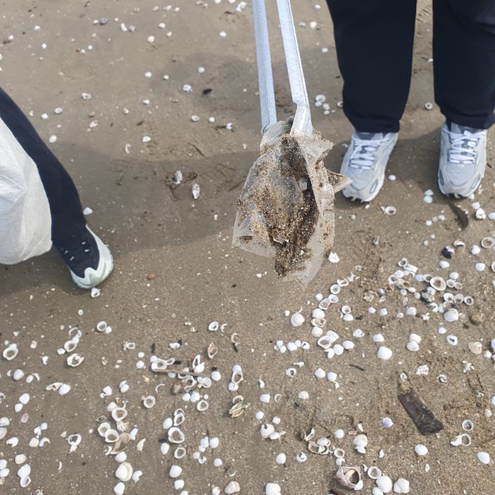 장포리해변 정화 사진 9