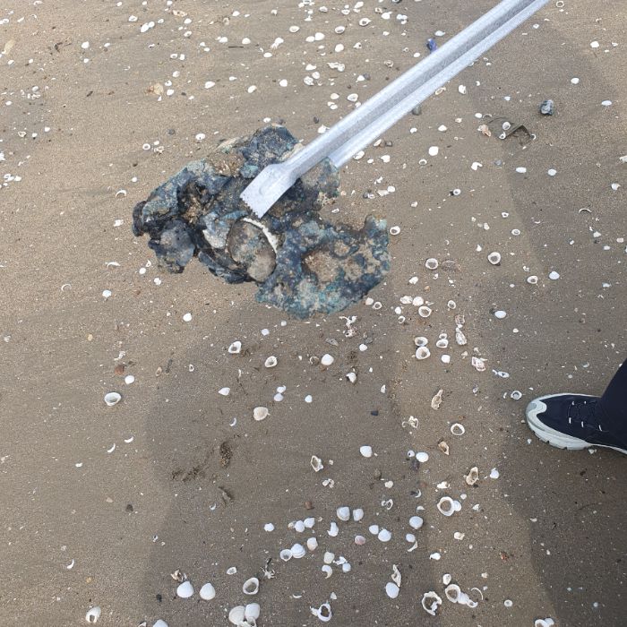 장포리해변 정화 사진 10