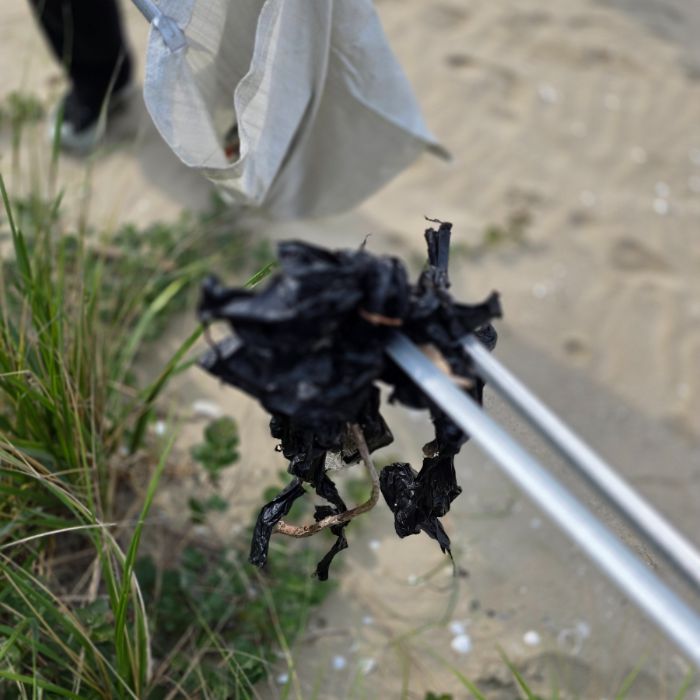 장포리해변 정화 사진 30
