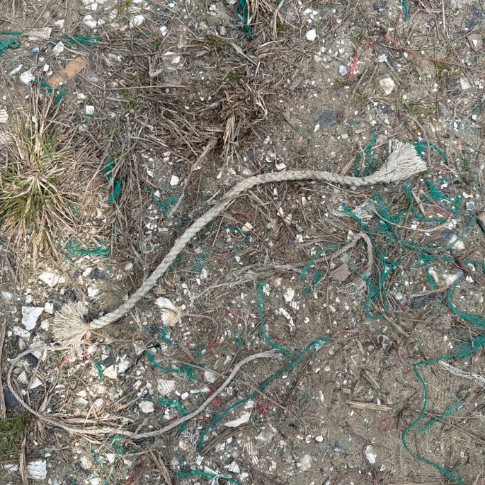 장포리해변 정화 사진 2