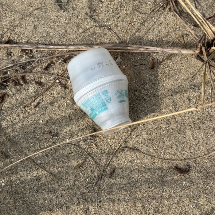 장포리해변 정화 사진 11