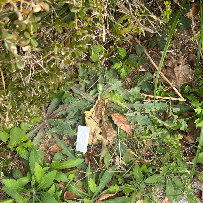  부산영도구.동네.쓰레기.플로깅