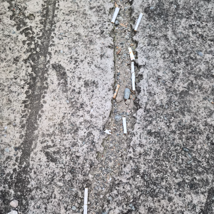  부산강서구.동네.쓰레기.플로깅