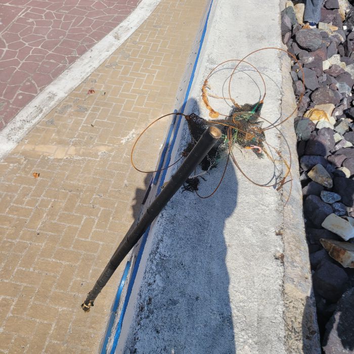큰불항해변 정화 사진 5