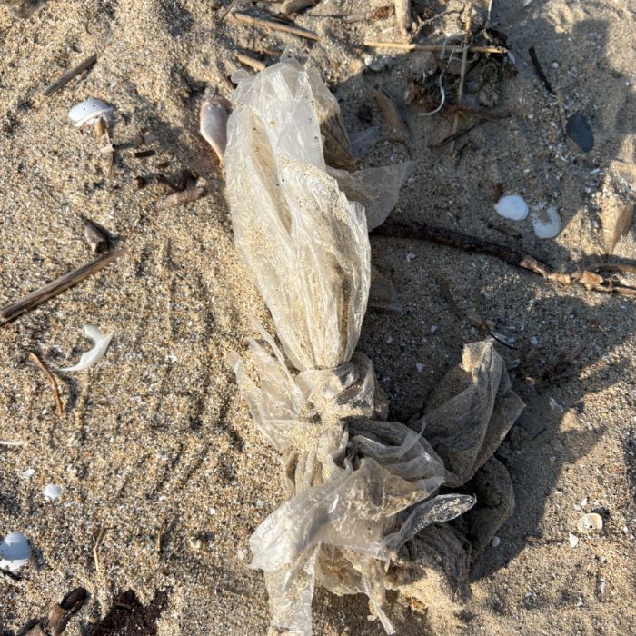 매바위공원해변 정화 사진 5