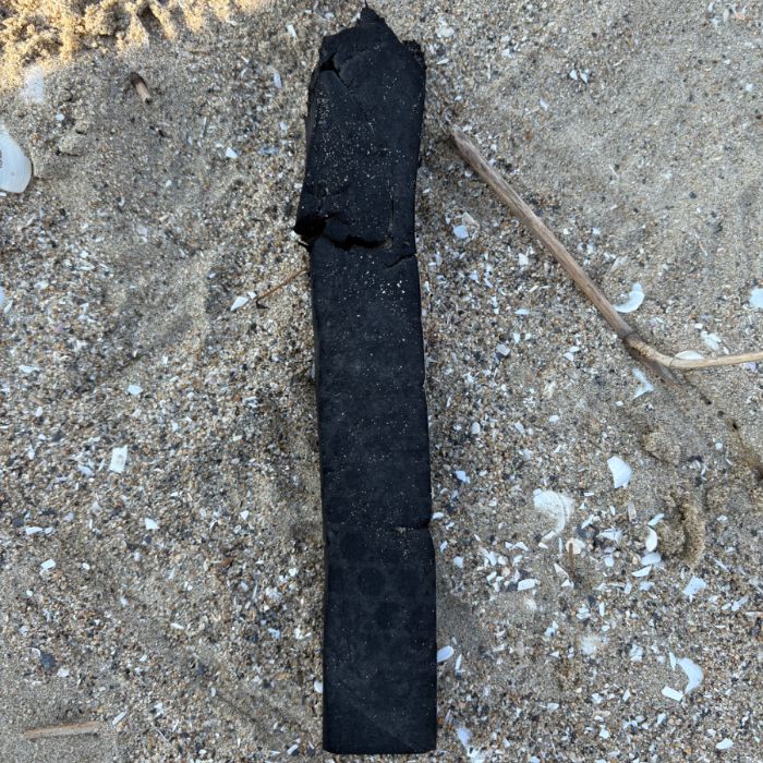 매바위공원해변 정화 사진 10