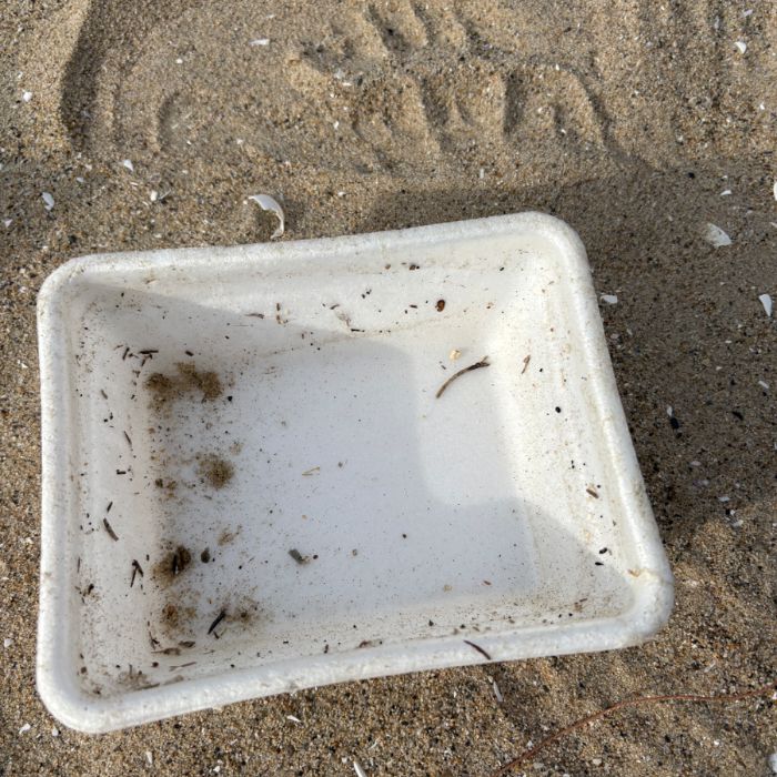 매바위공원해변 정화 사진 11