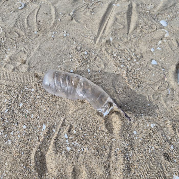 매바위공원해변 정화 사진 2