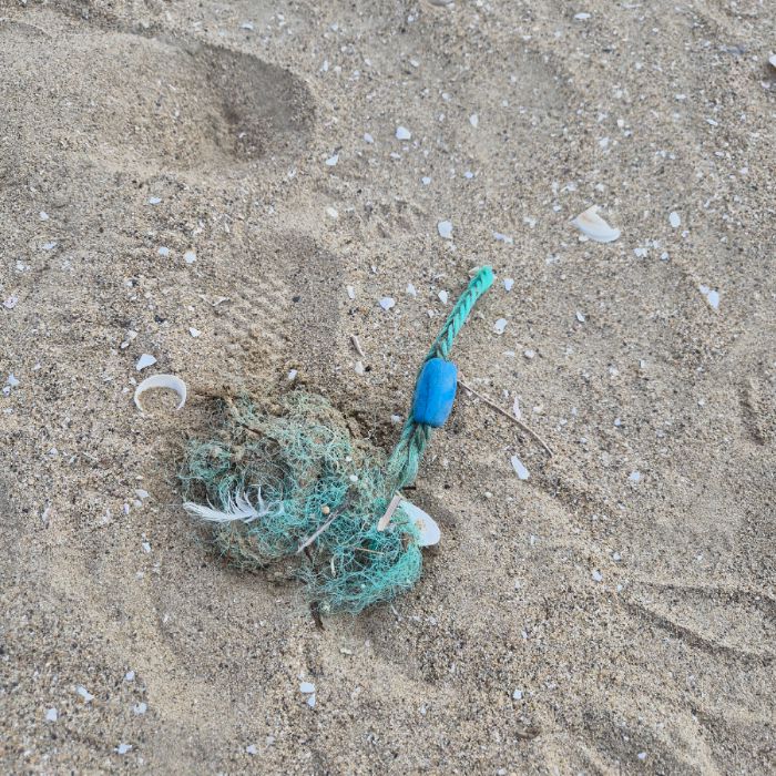 매바위공원해변 정화 사진 11
