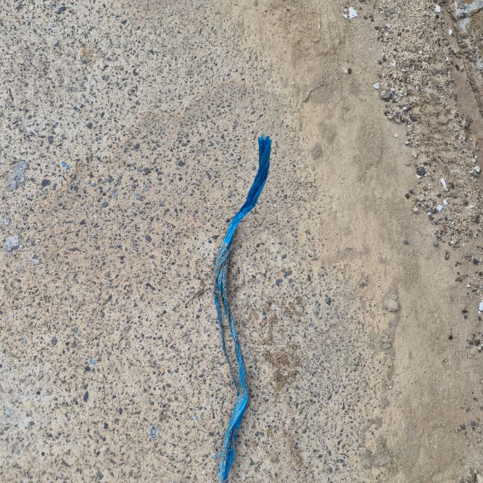 매바위공원해변 정화 사진 17