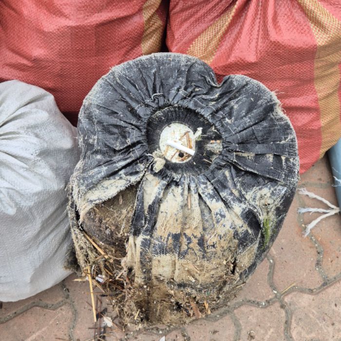 매바위공원해변 정화 사진 6