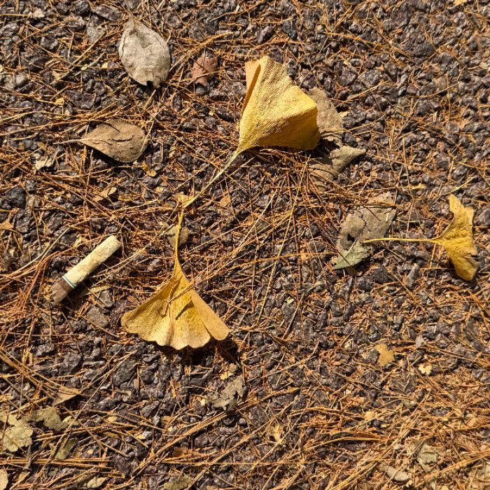  파주시.동네.쓰레기.플로깅