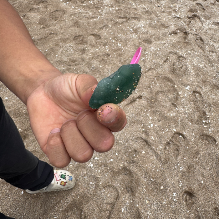  서귀포시.동네.쓰레기.플로깅