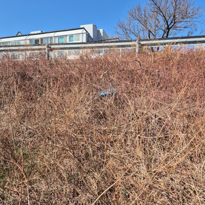  강릉시.동네.쓰레기.플로깅