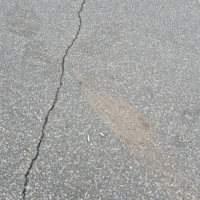  강릉시.동네.쓰레기.플로깅