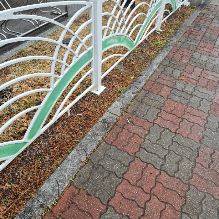  강릉시.동네.쓰레기.플로깅