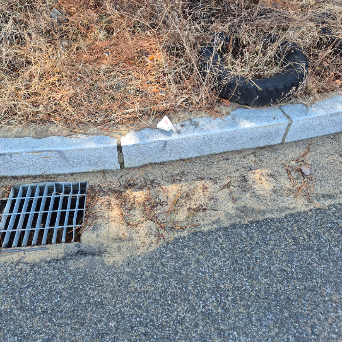  강릉시.동네.쓰레기.플로깅