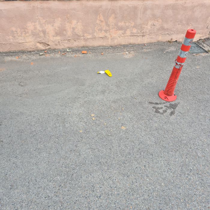  강릉시.동네.쓰레기.플로깅