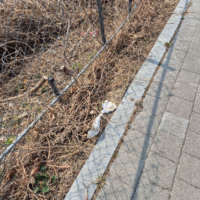  강릉시.동네.쓰레기.플로깅