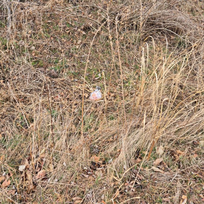  강릉시.동네.쓰레기.플로깅