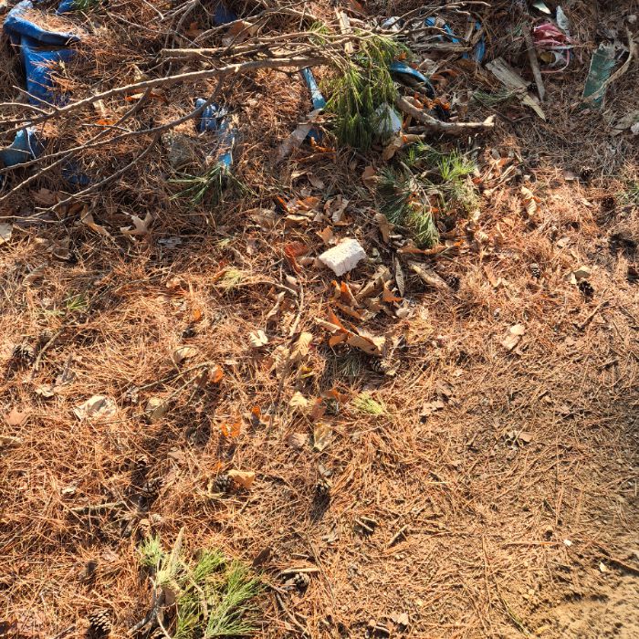  동해시.동네.쓰레기.플로깅