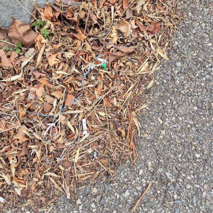  동해시.동네.쓰레기.플로깅