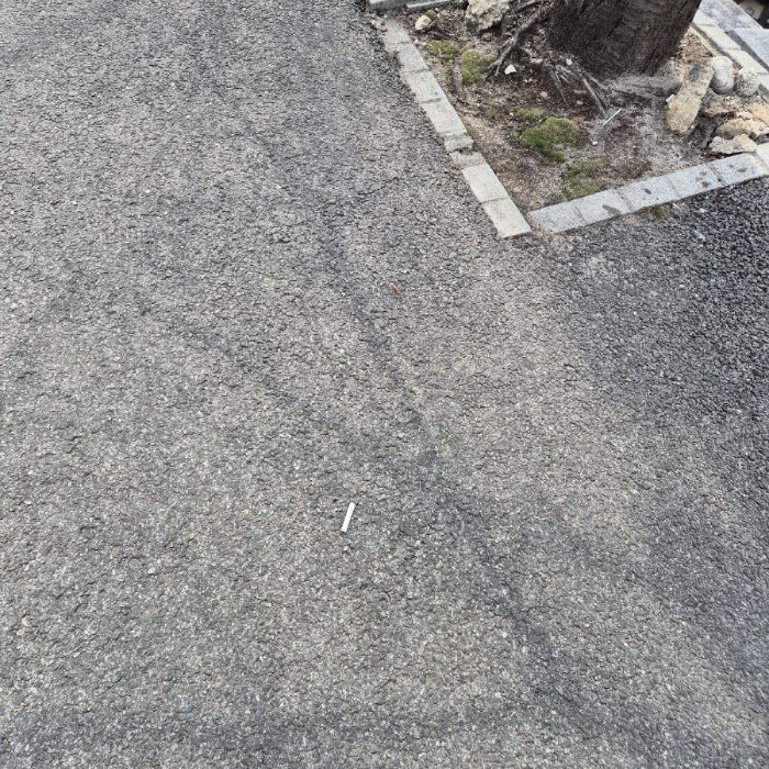  강릉시.동네.쓰레기.플로깅