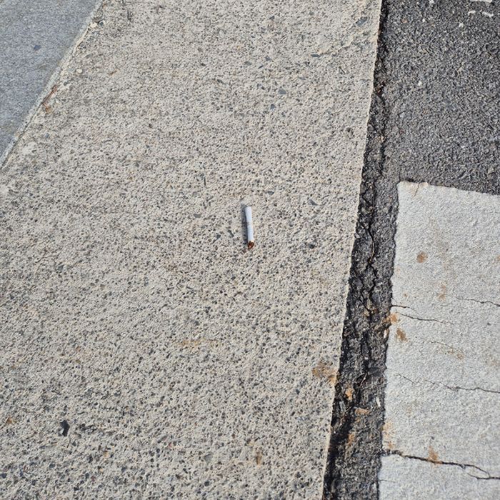  동해시.동네.쓰레기.플로깅