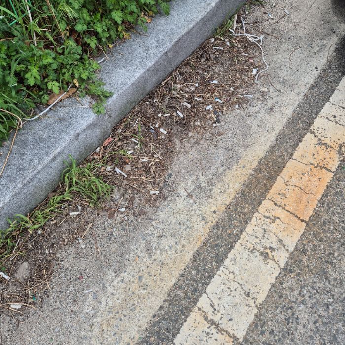  강릉시.동네.쓰레기.플로깅