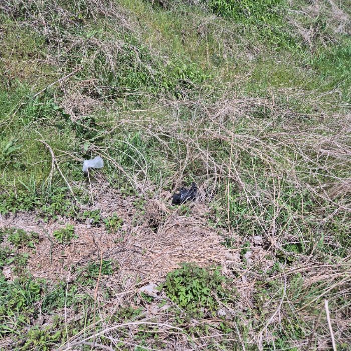  강릉시.동네.쓰레기.플로깅