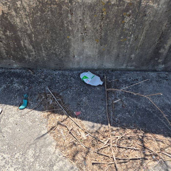  강릉시.동네.쓰레기.플로깅