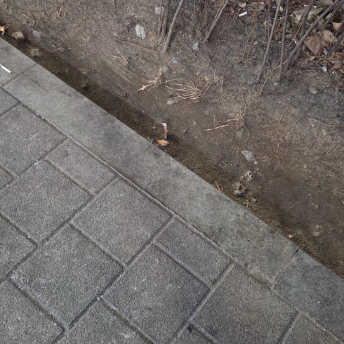  서울강남구.동네.쓰레기.플로깅